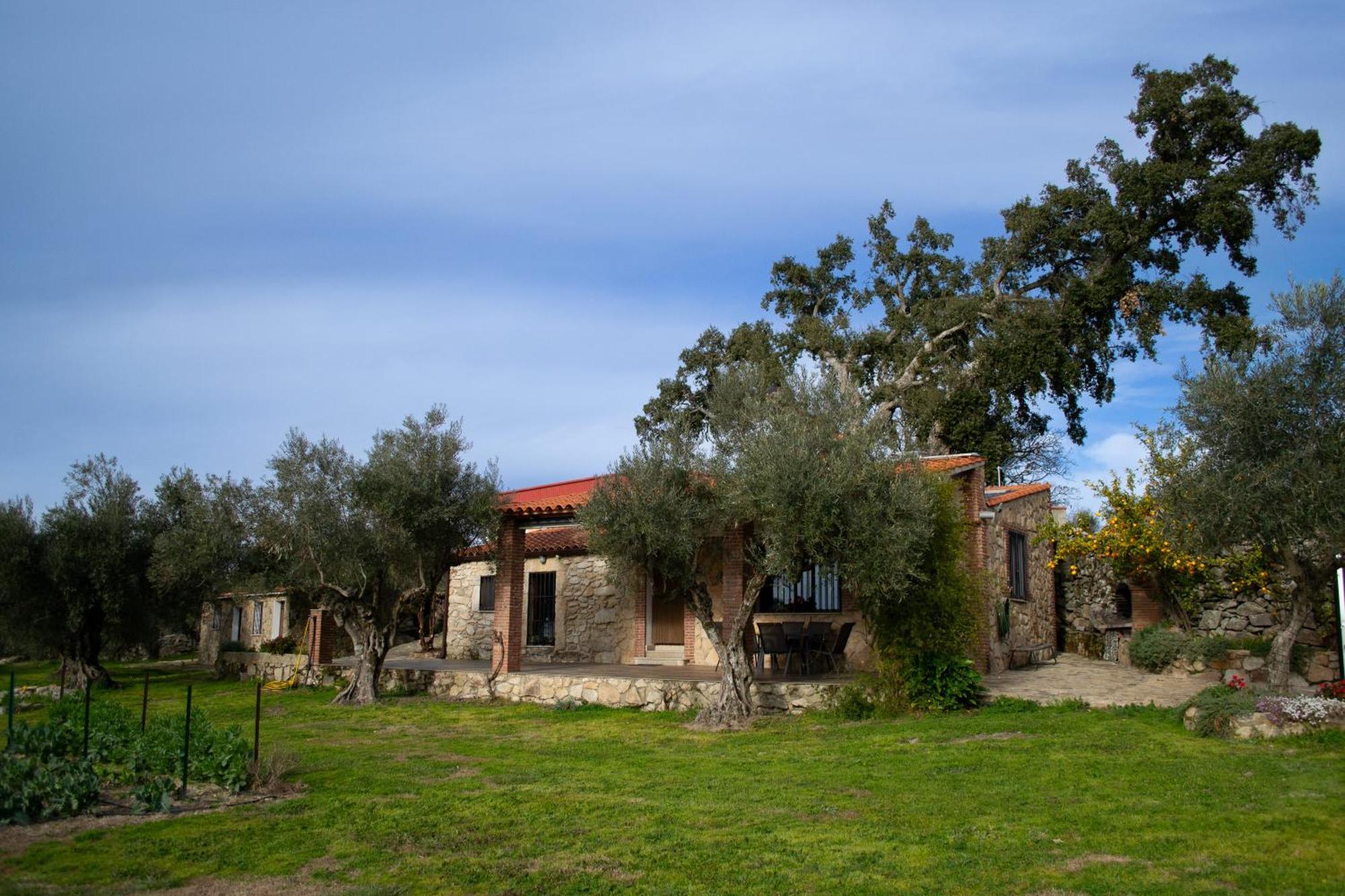 Casa Rural La Recuera Монтанчес Экстерьер фото